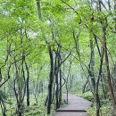 서귀포자연휴양림 이미지