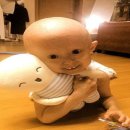 홍성원 - 강남구 압구정로79길 61 | 홍성원