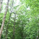 성미의집 이미지