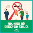 다샘 이미지