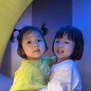 [육아] 퐁퐁플라워 미금센터 아이와 함께 솔직 후기