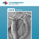 성심동물의료센터 이미지