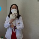 삼색이동물병원 이미지