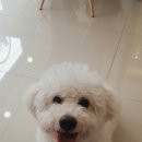 널 그리다 뷰티