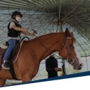 말보르승마장 이미지