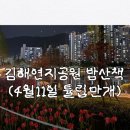 강아지와 산책 | 김해 연지공원 튤립 개화 상태 | 강아지와 밤 산책 후기 + 주차 정보