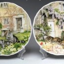 코테이지 이미지