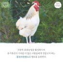 홍천자연랜드 이미지