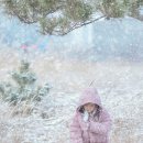 씨사이드파크 관리사무소 이미지