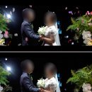 BW 웨딩 보네르홀 본식 DVD 테레즈필름 계약 후기 (+ 짝꿍 페이백 해드려요)