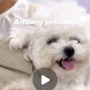 아트댕 이미지