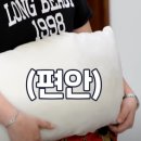 알친구 이미지