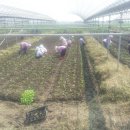 미성동-8 이미지