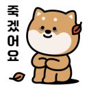 돋보기피부과의원 이미지