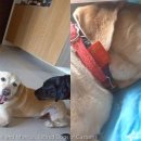 무지개다리 이미지