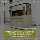 버스가판대 브런치