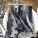 통통장어 이미지