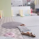 도도네 개집 이미지