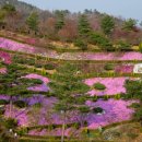 동산큰옷