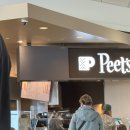 메이플커피라운지 | SFO 샌프란시스코 공항 라운지 메이플 리프 라운지 찐 이용기