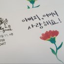 최강국가대표태권도 이미지