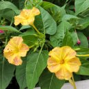 중앙행정사사무소 이미지