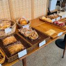 꽃달아줄개 이미지