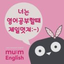 뮤엠영어문덕초점