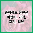 충청북도 진천군 비앤비, 가격, 후기, 리뷰