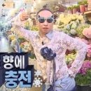 용인대 유사사 유도관 이미지