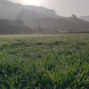 인지리 ~ 후산리 이미지