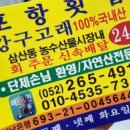 24번횟집 - 남구 장생포고래로 318 | 24번횟집