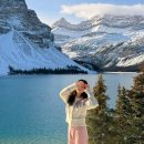 여행하는 나무 | 여행하는 마케터 낭낭 2025 여행 연말 결산