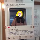 배타고