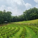 수종목장 이미지