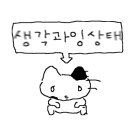 스트라이크존 동해천곡구장