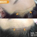 네일트리 이미지
