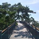 구불2길(햇빛길) 이미지