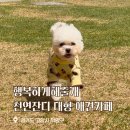행복하게해줄개