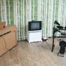 베리타스학원 이미지