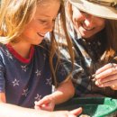 URBAN TREE 39 이미지