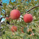 열방농장 이미지