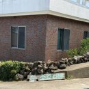 호호다방엔카페 | 제주 애월 소길다방 "커피에 진심인 사장님" 드립커피맛집 내돈내산후기