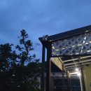 영동병원 | 🏡 충북 영동 펜션 CCTV 설치 후기 | 외부 보안 강화 및 사각지대 없는 시공 , 주차장·마당·데크 완벽...