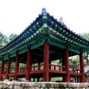 정자 이미지