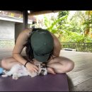 퍼피&피쉬 | 7살 아이랑 발리 여행 - 우붓 시내편(1~3일차/ 퍼피요가, 우붓맛집, 지프투어, 테갈사리 어코모데이션)