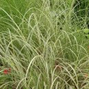 골마을근린공원 이미지