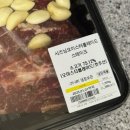 오이스터 이미지