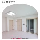 캘리토닉