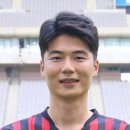 법무법인엘프스 이미지
